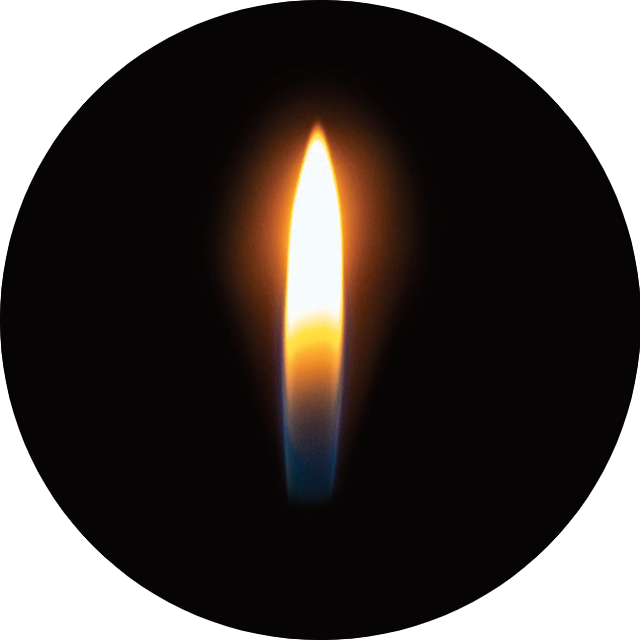 holy fire logo